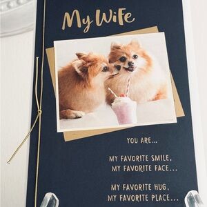 American Greetings, To my Wife Birthday Card, You are My Favorite